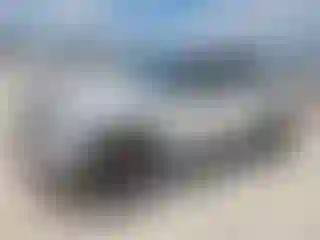 Vehicle Image- 2023 Ford Explorer