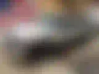 Vehicle Image- 2005 Ford Excursion