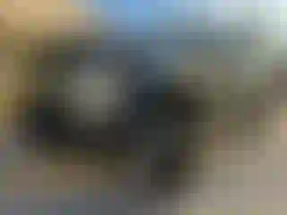 Vehicle Image- 2004 Ford Excursion