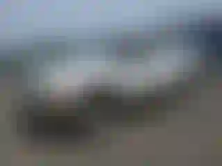 Vehicle Image- 2004 Ford Excursion