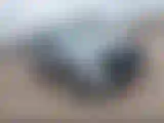 Vehicle Image- 2025 Ford Explorer