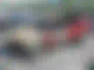 Vehicle Image- 2001 Ford Escape