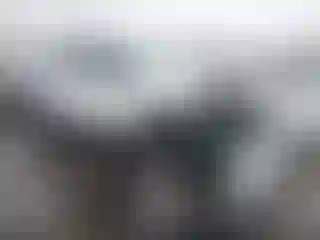 Vehicle Image- 2025 Ford Explorer