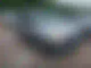 Vehicle Image- 2003 Ford Escape