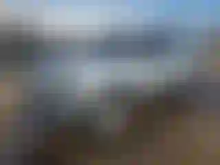 Vehicle Image- 2002 Ford Escape