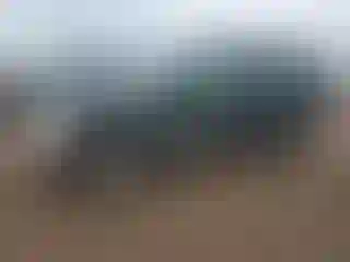 Vehicle Image- 2002 Ford Escape