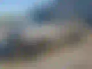Vehicle Image- 2005 Ford Escape