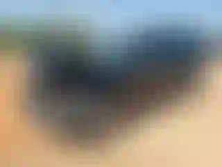 Vehicle Image- 2006 Ford Escape