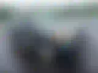 Vehicle Image- 2006 Ford Escape