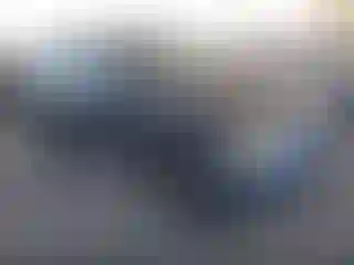 Vehicle Image- 2006 Ford Escape