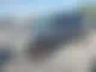 Vehicle Image- 2007 Ford Escape
