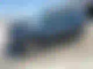 Vehicle Image- 2005 Ford Escape
