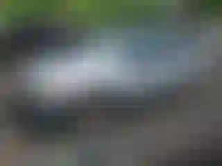 Vehicle Image- 2002 Ford Escape