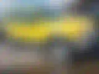Vehicle Image- 2002 Ford Escape
