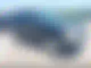 Vehicle Image- 2007 Ford Escape