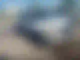 Vehicle Image- 2002 Ford Escape