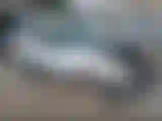 Vehicle Image- 2004 Ford Escape