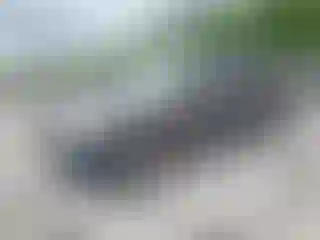 Vehicle Image- 2006 Ford Escape