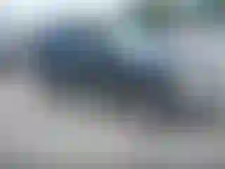 Vehicle Image- 2002 Ford Escape