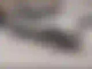 Vehicle Image- 2001 Ford Escape