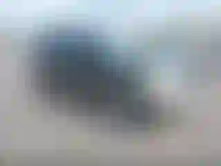 Vehicle Image- 2002 Ford Escape