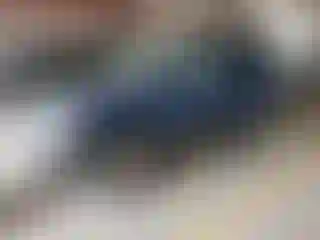 Vehicle Image- 2007 Ford Escape