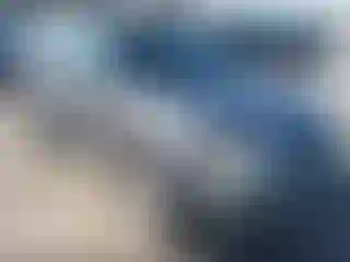 Vehicle Image- 2004 Ford Escape