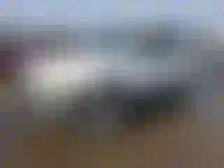 Vehicle Image- 2005 Ford Escape