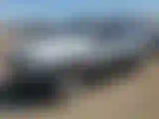 Vehicle Image- 2005 Ford Escape