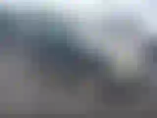 Vehicle Image- 2001 Ford Escape