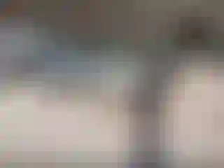 Vehicle Image- 2005 Ford Escape