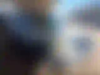 Vehicle Image- 2006 Ford Escape