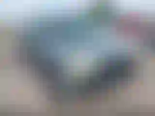 Vehicle Image- 2007 Ford Escape