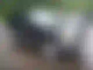 Vehicle Image- 2007 Ford Escape