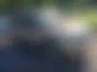 Vehicle Image- 2007 Ford Escape