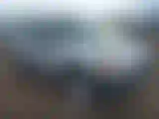 Vehicle Image- 2002 Ford Escape