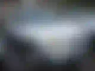 Vehicle Image- 2007 Ford Escape