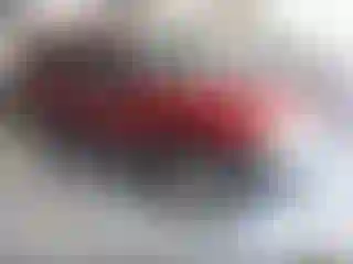 Vehicle Image- 2004 Ford Escape