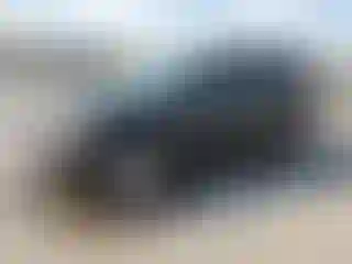 Vehicle Image- 2005 Ford Escape