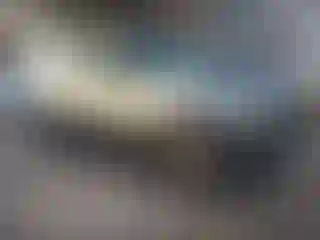 Vehicle Image- 2005 Ford Escape