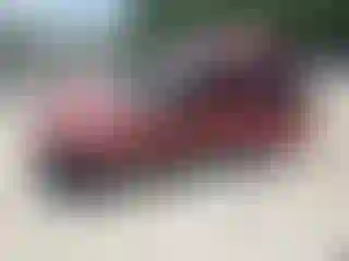 Vehicle Image- 2007 Ford Escape