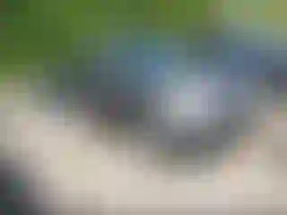 Vehicle Image- 2006 Ford Escape