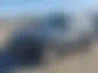 Vehicle Image- 2001 Ford Escape