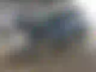 Vehicle Image- 2001 Ford Escape