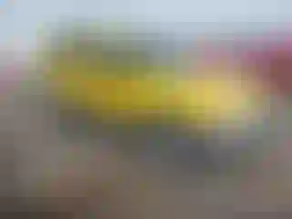 Vehicle Image- 2001 Ford Escape