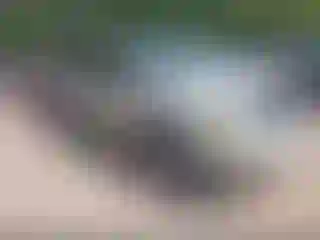 Vehicle Image- 2005 Ford Escape