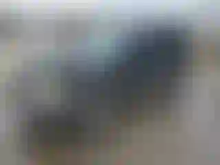 Vehicle Image- 2002 Ford Escape