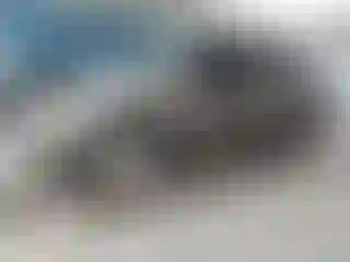 Vehicle Image- 2002 Ford Escape