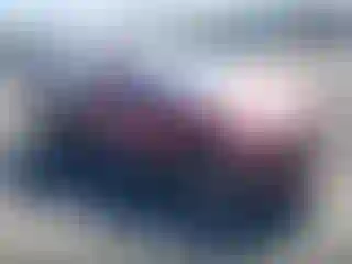 Vehicle Image- 2001 Ford Escape