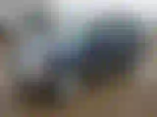 Vehicle Image- 2002 Ford Escape